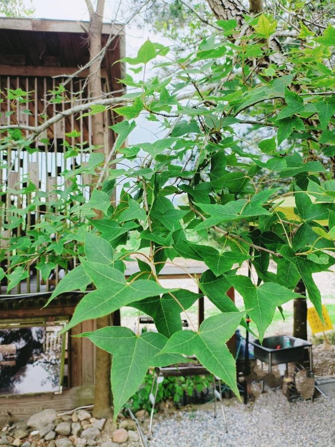 Fun星空謐境 埔里包棟民宿 烤肉麻將自然園區 Ngoại thất bức ảnh